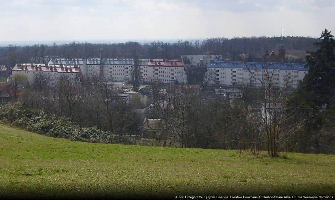 Prace związane z oczyszczaniem stawu infiltracyjnego w Obornikach