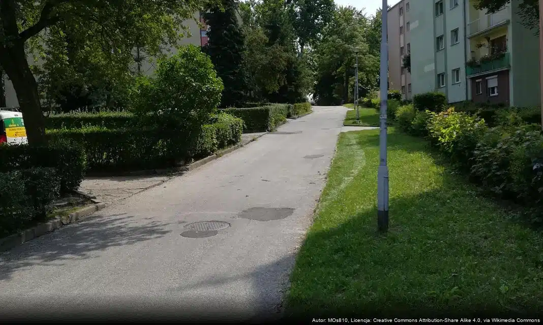 Umowy na zimowe utrzymanie dróg oraz czystość w Obornikach podpisane